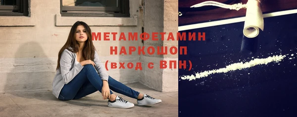 сатива Беломорск
