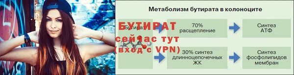 сатива Беломорск