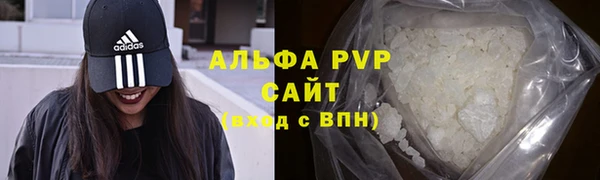 круглые Белокуриха