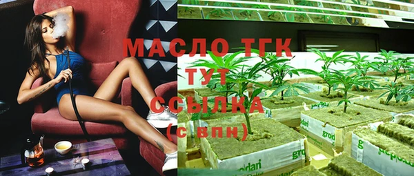 сатива Беломорск