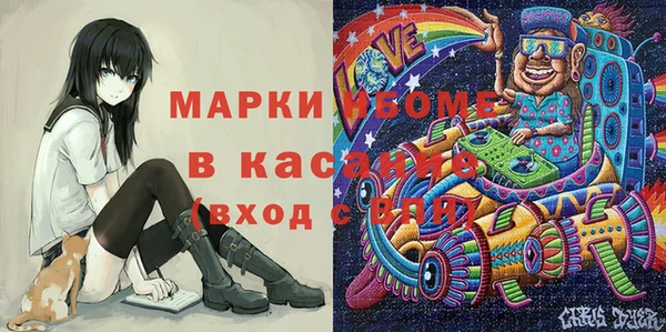 сатива Беломорск