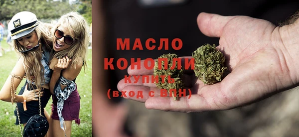 сатива Беломорск